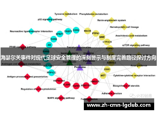 海瑟尔关事件对现代足球安全管理的深刻警示与制度完善路径探讨方向