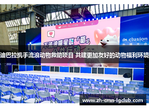 迪巴拉携手流浪动物救助项目 共建更加友好的动物福利环境 迪巴拉携手流浪动物救助项目 共建更加友好的动物福利环境