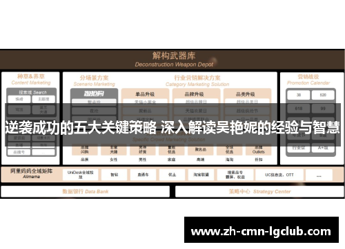 逆袭成功的五大关键策略 深入解读吴艳妮的经验与智慧 逆袭成功的五大关键策略 深入解读吴艳妮的经验与智慧