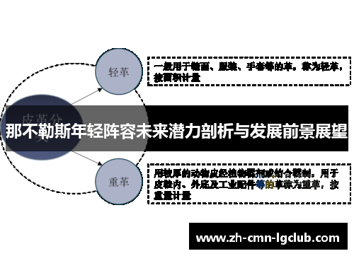 那不勒斯年轻阵容未来潜力剖析与发展前景展望 那不勒斯年轻阵容未来潜力剖析与发展前景展望