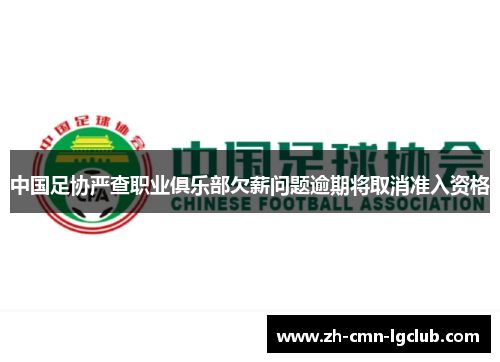 中国足协严查职业俱乐部欠薪问题逾期将取消准入资格 中国足协严查职业俱乐部欠薪问题逾期将取消准入资格