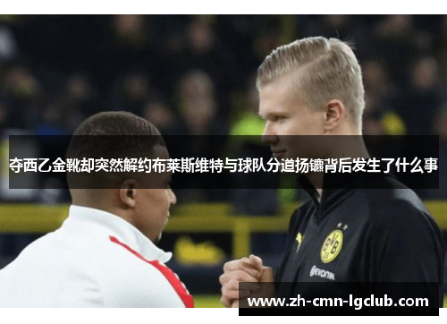 夺西乙金靴却突然解约布莱斯维特与球队分道扬镳背后发生了什么事 夺西乙金靴却突然解约布莱斯维特与球队分道扬镳背后发生了什么事